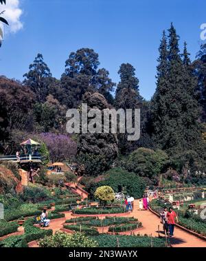 Jardin botanique gouvernemental à Udhagamandalam Ooty, Tamil Nadu, Inde du Sud, Inde, Asie Banque D'Images