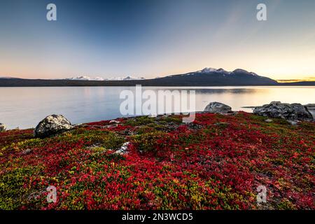 Paysage automnal avec lac Akkajaure et chaîne de montagnes Akka, ambiance nocturne, parc national Stora Sjoefallet, Laponia, Norrbotten, Laponie Banque D'Images