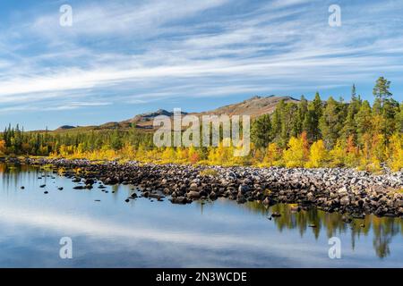 Reflet d'un paysage automnal, le parc national Stora Sjoefallet, Laponia, Norrbotten, Laponie, Suède Banque D'Images