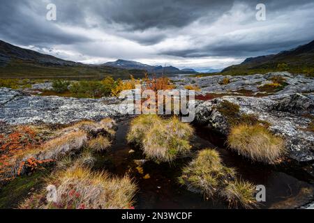 Paysage automnal, parc national Stora Sjoefallet, Laponia, Norrbotten, Laponie, Suède Banque D'Images