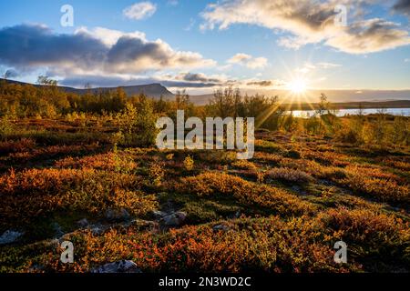 Paysage automnal, parc national Stora Sjoefallet, Laponia, Norrbotten, Laponie, Suède Banque D'Images