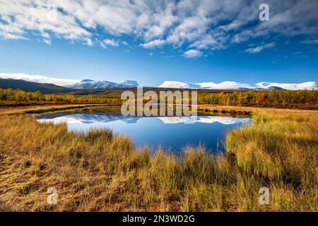 Groupe de montagne Lapporten et les montagnes enneigées du parc national Abisko se reflètent dans un petit étang, paysage automnal de chute, Abisko, Laponie, Suède Banque D'Images