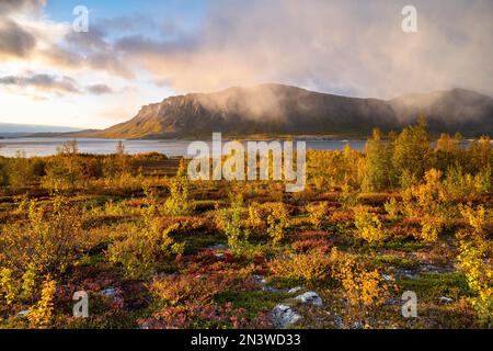 Paysage automnal, parc national Stora Sjoefallet, Laponia, Norrbotten, Laponie, Suède Banque D'Images