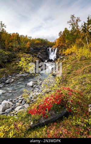 Rivière Gohpasjohka avec paysage d'automne, cascade, Bjoerkliden, Laponie, Suède Banque D'Images