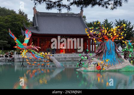 Figures illuminées au jardin chinois, Montréal, province de Québec, Canada Banque D'Images