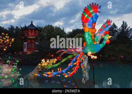 Figures illuminées au jardin chinois, Montréal, province de Québec, Canada Banque D'Images