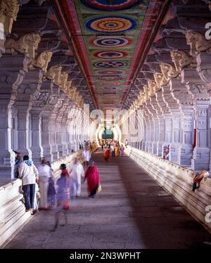 Couloir du temple le plus long, temple de Ramanathaswamy à Rameswaram, Tamil Nadu, Inde, Asie Banque D'Images