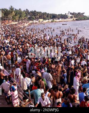 Le jour de la nouvelle lune, Aadi Amavasya jour lakhs de dévotés a fait le plongeon Saint à Agni Theertham dans la baie de Rameswaram du Bengal Tamil Nadu, Inde, Asie Banque D'Images