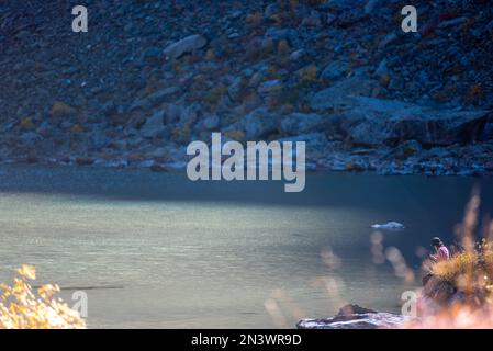 Une petite fille de voyageur s'assoit sur le rivage à l'ombre d'un rocher près du lac alpin Shavlinskoye, sur fond de montagnes avec glaciers et neige Banque D'Images