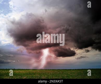 Orage pittoresque sur un terrain vert. La foudre frappe depuis un ciel sombre et nuageux Banque D'Images