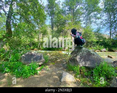 Une petite fille voyageur s'assoit sur une pierre et regarde une petite rivière de montagne dans la forêt dans l'après-midi en été. Banque D'Images