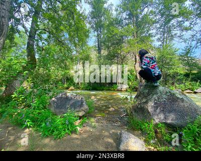 La petite fille voyageur s'assoit sur une pierre et regarde une petite rivière de montagne dans la forêt pendant la journée. Banque D'Images