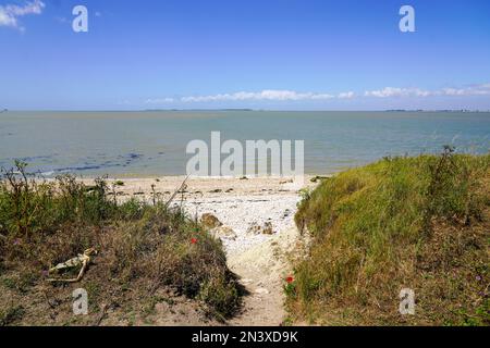 Accès à la barrière de la voie de sable de l'océan à la plage de l'océan côte atlantique de la mer à l'ile Madame France Banque D'Images