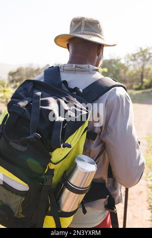 Vue arrière de l'homme senior afro-américain avec sac à dos portant un chapeau et randonnée dans la forêt Banque D'Images