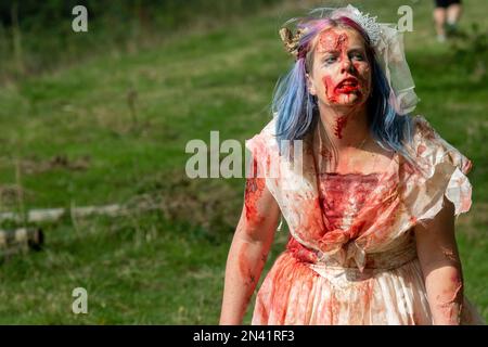 Zombie mariée à un événement d'évacuation Zombie où les coureurs sur un cours d'assaut sont chassés par des zombies ... Normal pour Norfolk Banque D'Images