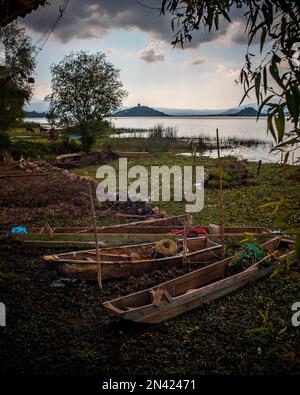 Une photo verticale de petits bateaux en bois sur un bord de lac vert luxuriant par une journée nuageux Banque D'Images
