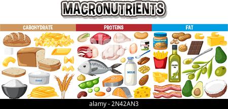 Principaux groupes alimentaires macronutriments illustration vectorielle Illustration de Vecteur