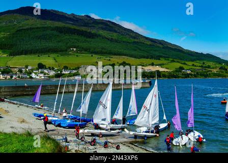 Bateaux à voile sur la rive à Carlingford, comté de Louth, Irlande Banque D'Images