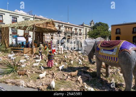 Une exposition de Noël Nativité sur la place Zocalo dans le centre historique d'Oaxaca, au Mexique. Banque D'Images