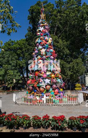 Un grand arbre de Noël dans le parc Alameda de Leon près de la place Zocalo dans la ville historique d'Oaxaca, au Mexique. Les pots de poinsettias sont au premier plan. Banque D'Images