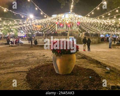 Un belvédère central ou un kiosque à musique décoré de lumières de Noël la nuit sur la place Zocalo dans la ville historique d'Oaxaca, au Mexique. Au premier plan est un grand Banque D'Images