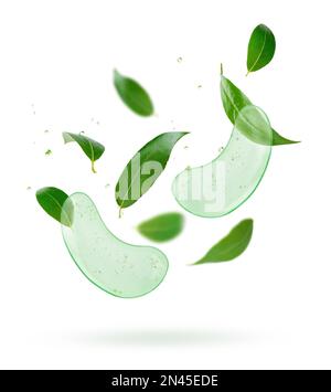 Patchs pour les yeux d'aloès volant avec composition de feuilles de thé sur fond blanc. Banque D'Images