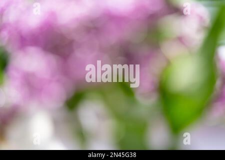 Photo abstraite de fleurs de lilas en fleurs floues. Arrière-plan naturel Banque D'Images