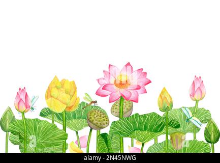 Bannière avec boutons roses jaunes fleurs de lotus et feuilles vertes. Libellules volantes. Illustration aquarelle dessinée à la main isolée sur fond blanc. Banque D'Images
