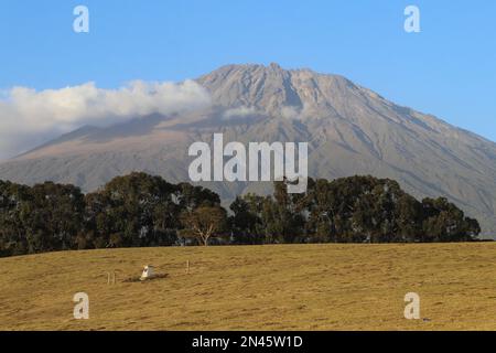 Mont Meru, petit frère du Mont Kilimanjaro à Arusha, Tanzanie Banque D'Images