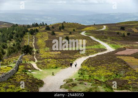 Sentiers dans le parc national de Moel Famau, domaine de Clwydian, pays de Galles du Nord. Banque D'Images