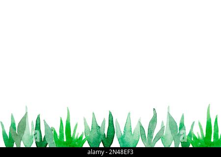 Herbe verte aquarelle dessinée à la main sur fond blanc. La nature laisse l'arrière-plan. Espace pour le texte. Modèle pour la conception. Banque D'Images