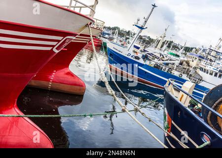 Port de pêche de Killybegs, chalutiers amarrés. Comté de Donegal, Irlande Banque D'Images