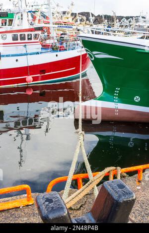 Port de pêche de Killybegs, chalutiers amarrés. Comté de Donegal, Irlande Banque D'Images