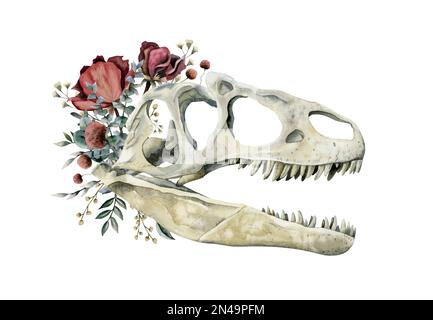 Crâne de dinosaure carnivore avec roses rouges, fleurs de champ et illustration d'eucalyptus aquarelle isolée sur fond blanc Banque D'Images