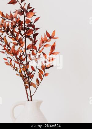 Branche décorative plante sèche bordeaux foncé dans un vase blanc sur fond blanc. Vue avant Banque D'Images