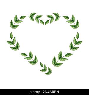Cadre aquarelle de branches vertes sur fond blanc. Coeur aquarelle fait de branches avec renards pour les motifs, autocollants, cartes de visite, logos, Hol Banque D'Images