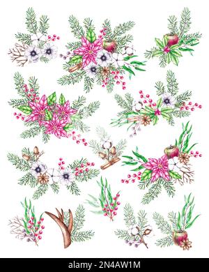 Bouquet de Noël aquarelle de fleurs et aiguilles de pin sur fond blanc pour la conception de décorations, d'emballages, de tissus, de cartes postales, d'affiches, Banque D'Images