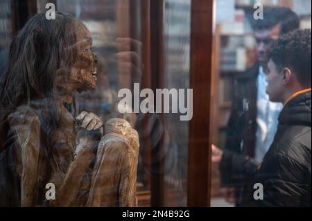 Les visiteurs ont été surpris par la momie d'une fille et d'un garçon au musée archéologique de Carmo (MAC), situé dans le couvent de Carmo, Lisbonne, Portugal Banque D'Images