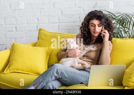 Redacteur publicitaire parlant sur smartphone et tenant le chat oriental près de l'ordinateur portable à la maison, image de stock Banque D'Images