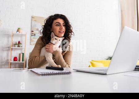Souriant redacteur publicitaire tenant chat oriental et regardant l'ordinateur portable dans la salle de séjour, image de stock Banque D'Images