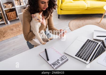 Brunette redacteur publicitaire utilisant un smartphone et tenant le chat oriental à la maison, image de stock Banque D'Images