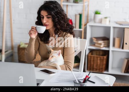 Brunette copywriter tenant le café et chat oriental près des dispositifs et des papiers à la maison, image de stock Banque D'Images