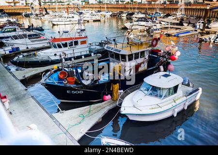 Exmouth Marina avec bateaux amarrés. Banque D'Images