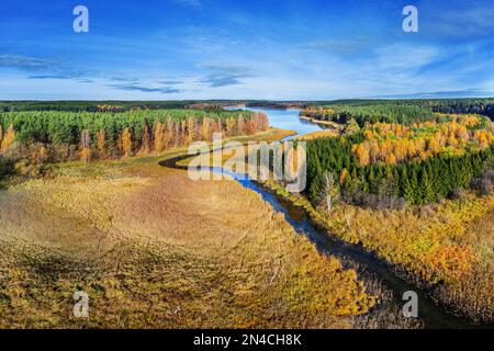 Automne en Masurie dans le nord-est de la Pologne Banque D'Images