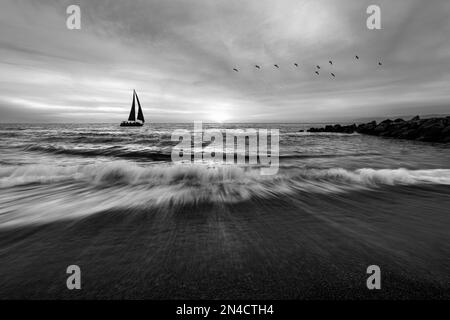 Un voilier navigue le long de l'océan avec des oiseaux volant au-dessus de la tête et Une vague se brisant sur la côte Banque D'Images