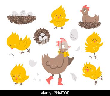 Ensemble vectoriel avec une jolie poule, de petits poussins, des œufs, un nid. Printemps ou Pâques drôle d'illustration isolée sur fond blanc pour les enfants. Pack d'icônes d'oiseaux de ferme Illustration de Vecteur