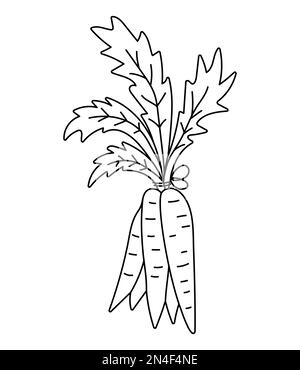 Bouquet vectoriel noir et blanc d'icône de carotte. Illustration ou page de coloriage du contour des légumes racines sains. Clip art Mignonne plante isolée sur blanc Illustration de Vecteur