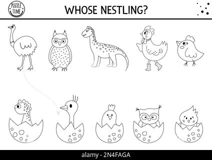 Activité d'appariement noir et blanc de Pâques pour les enfants avec des oiseaux et des œufs. Puzzle amusant de printemps avec les oisillons d'éclosion et leurs mamans. Vacances g Illustration de Vecteur