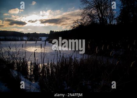 Roseaux et lac au coucher du soleil par une froide journée d'hiver, Waldviertel/ Autriche Banque D'Images