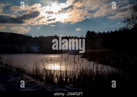 Roseaux et lac au coucher du soleil par une froide journée d'hiver, Waldviertel/ Autriche Banque D'Images